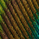 Image for article titled Feather scales, pollen grains, and a single teardrop: what photos of the microscopic world reveal